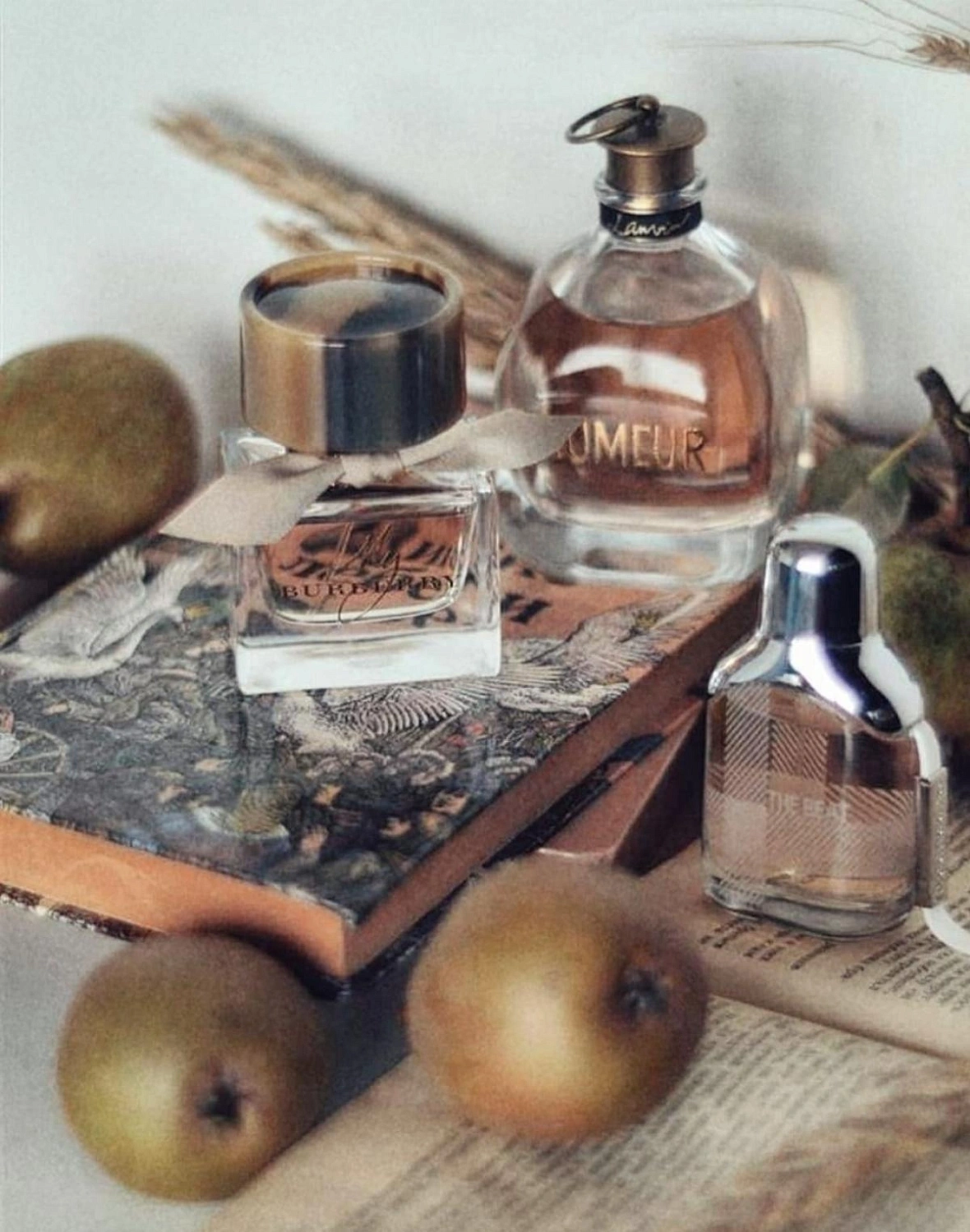 Lanvin Rumeur