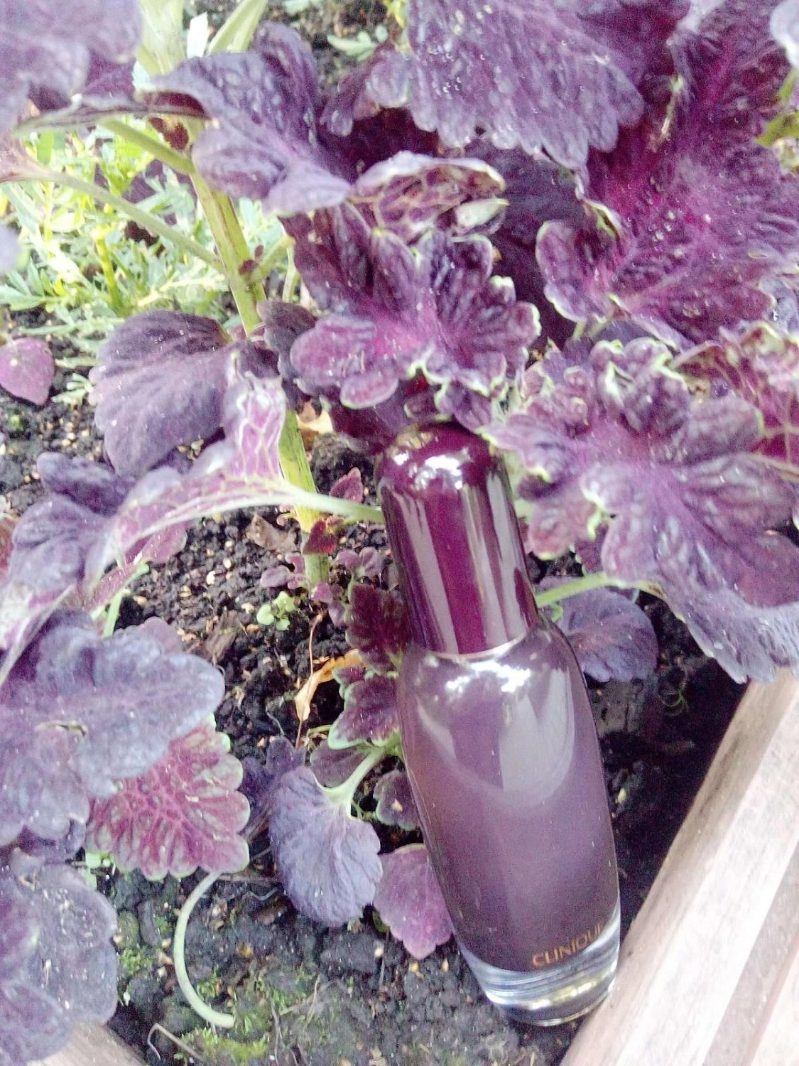 Clinique Aromatics in Black