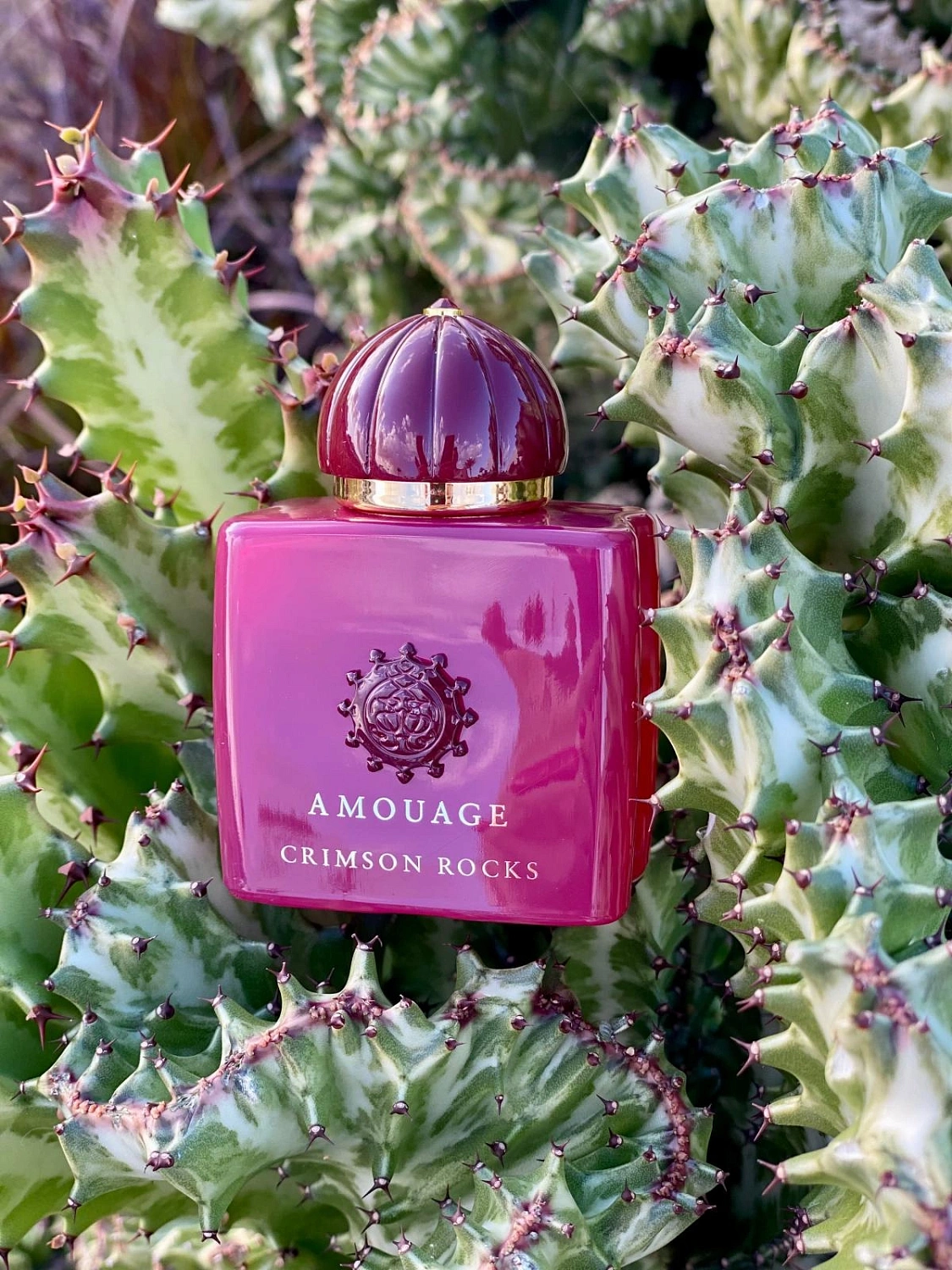 Amouage Crimson Rocks
