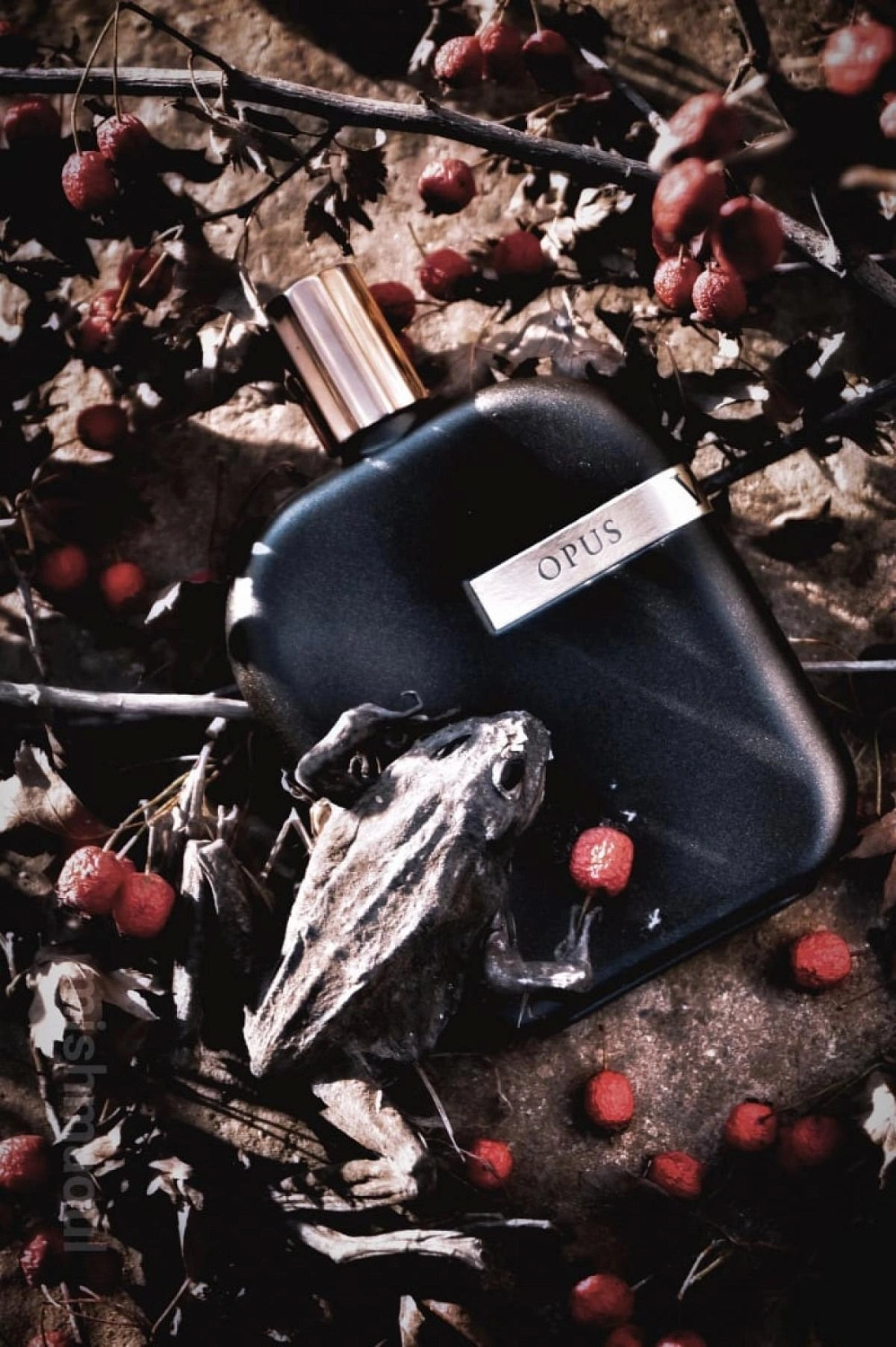 Amouage The Library Collection Opus VII