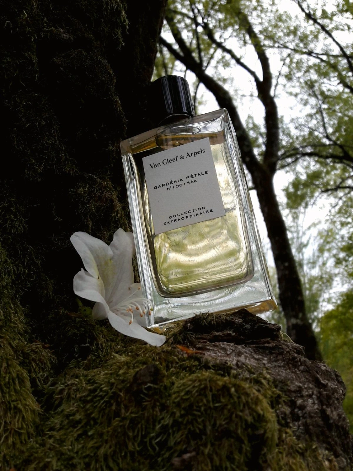 Van Cleef & Arpels Collection Extraordinaire Gardenia Petale