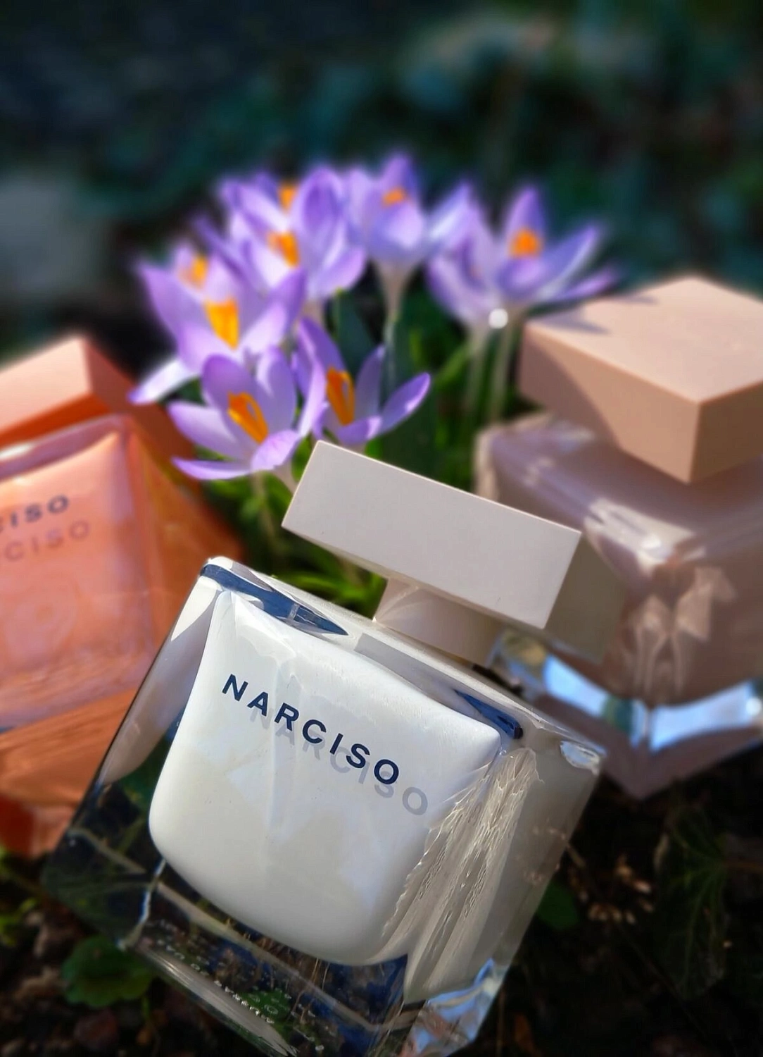 Narciso Rodriguez Narciso
