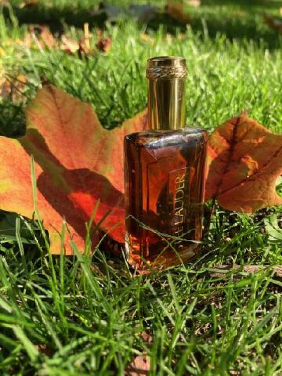 Estée Lauder Youth Dew