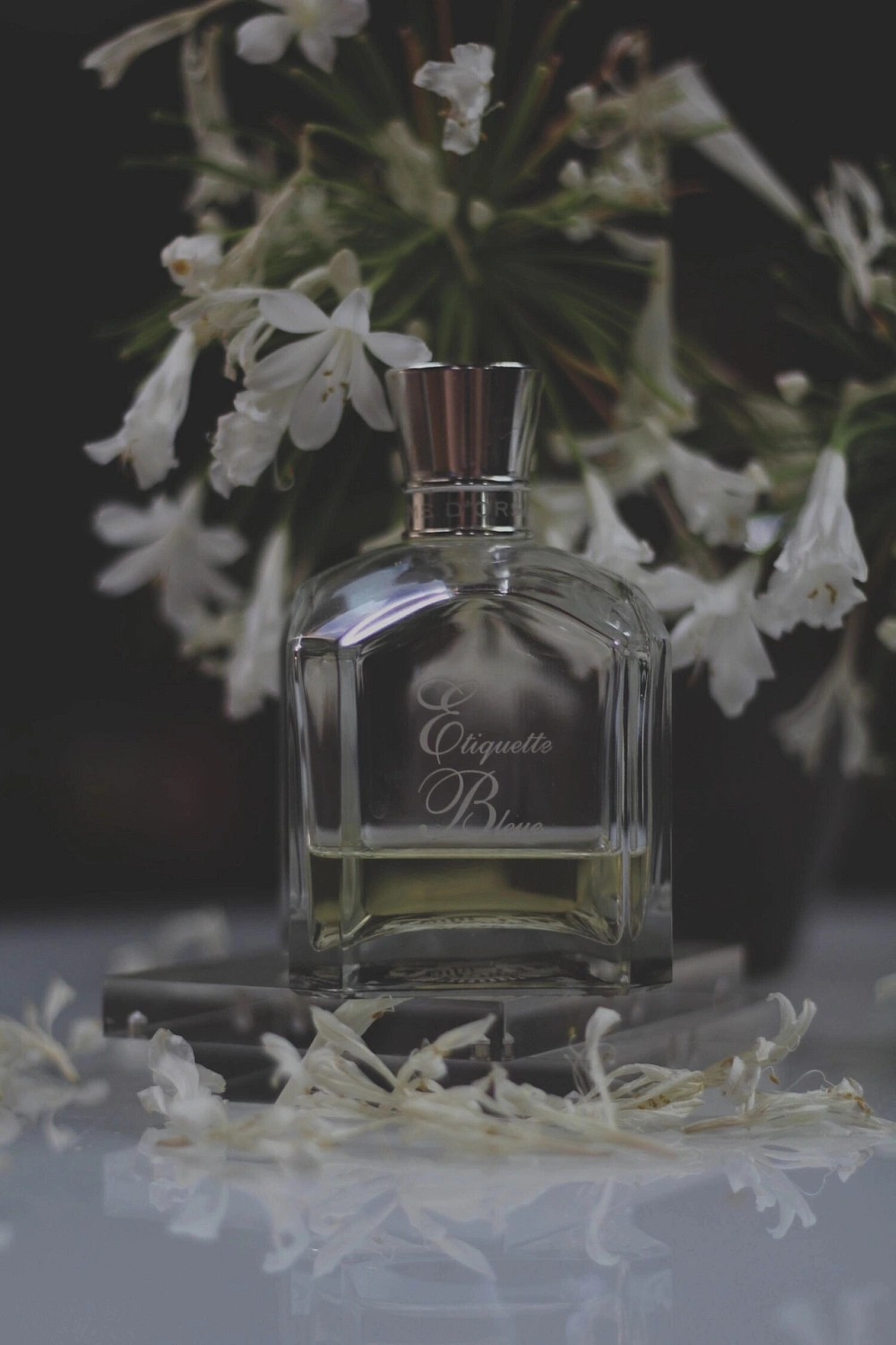 D'Orsay Etiquette Bleue