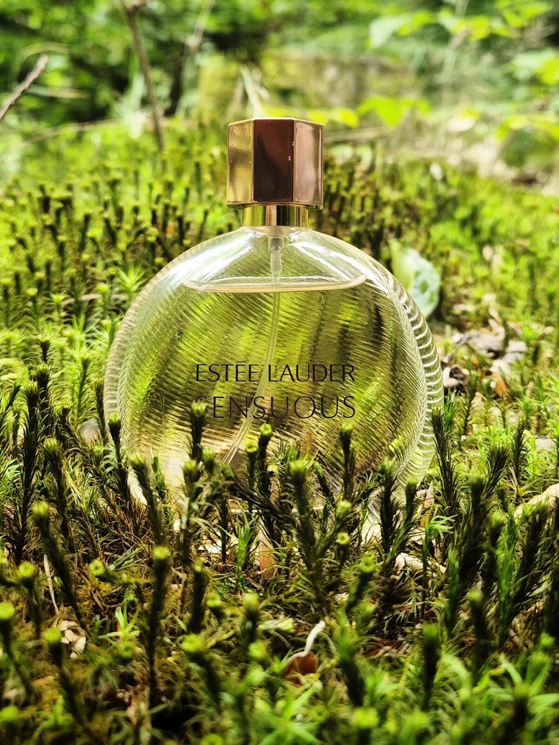 Estée Lauder Sensuous