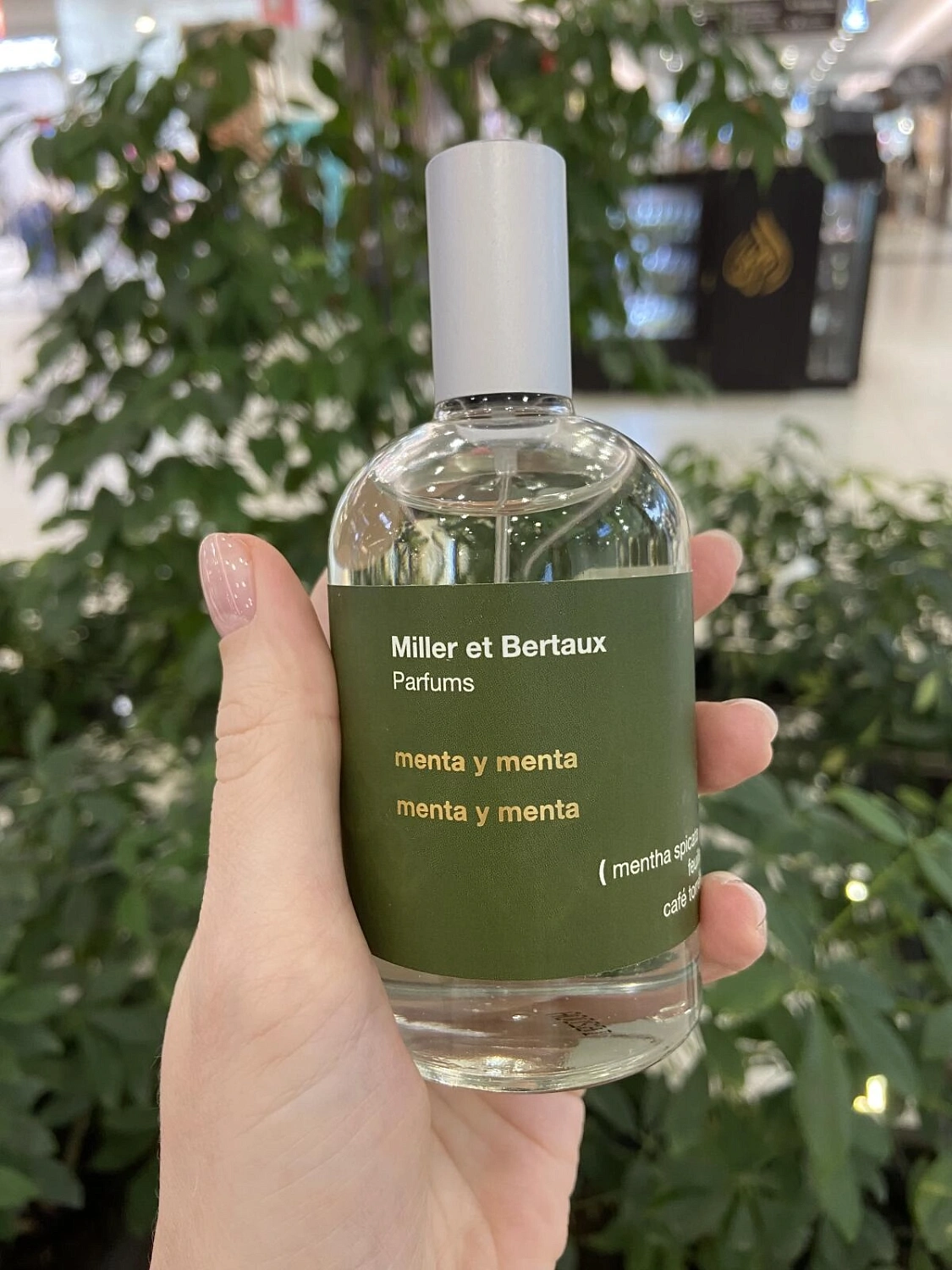 Miller et Bertaux Menta y Menta