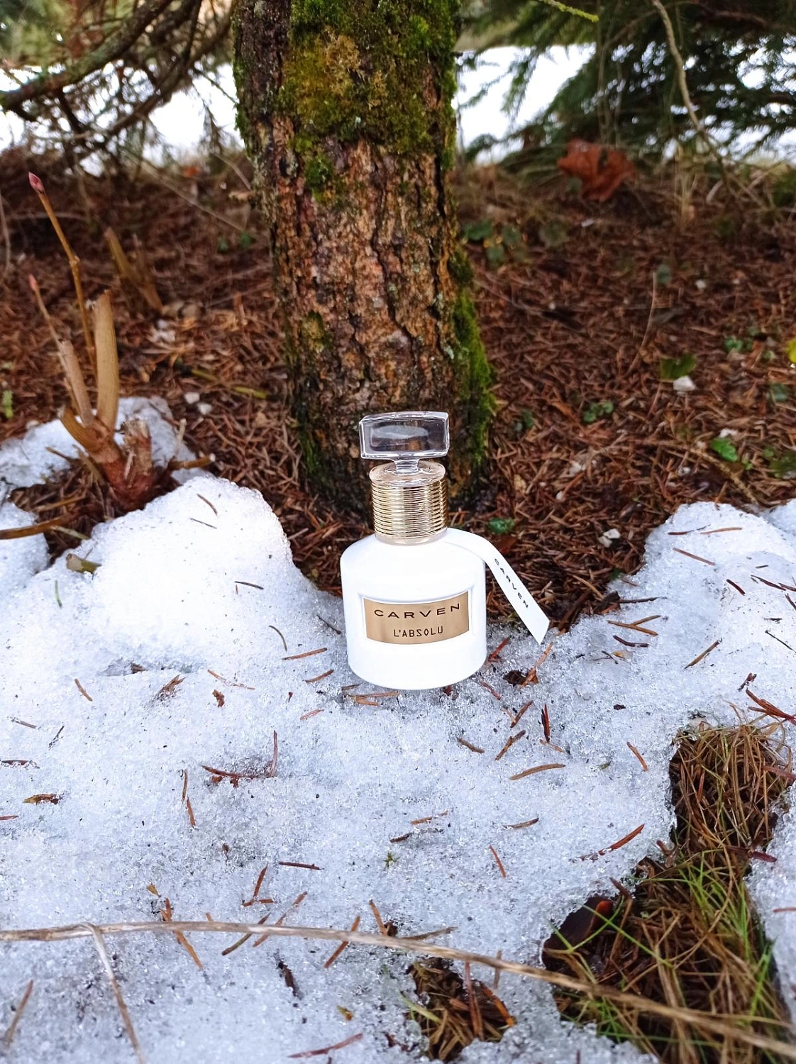 Carven L'Absolu