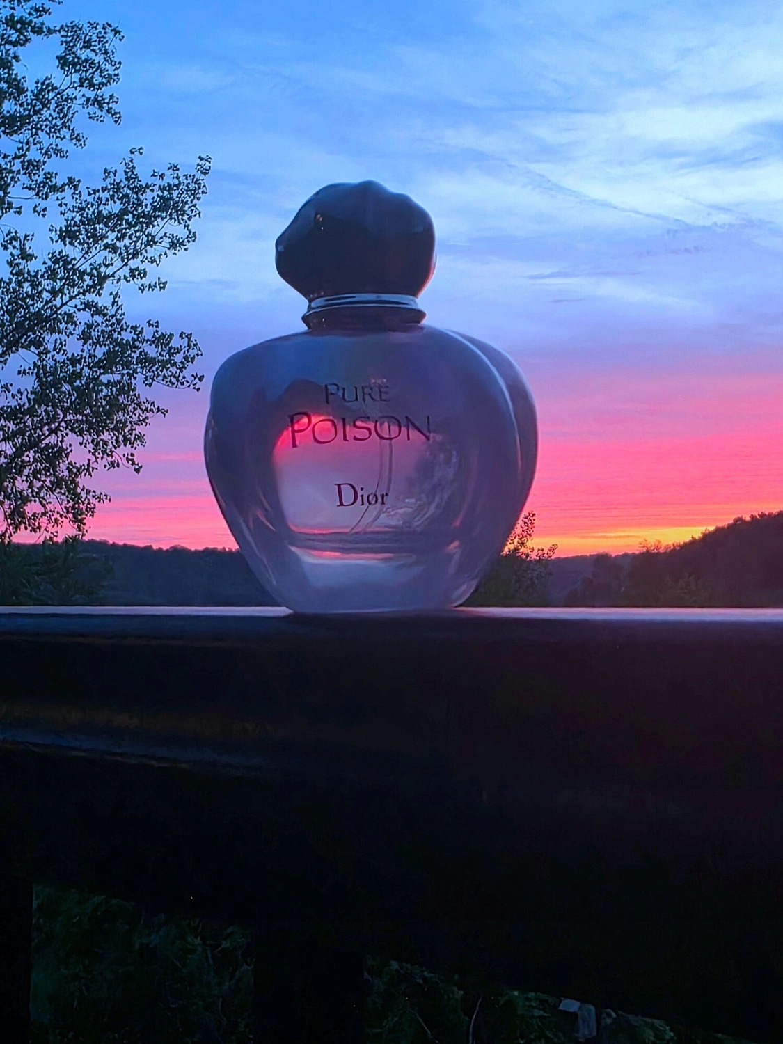 Christian Dior Pure Poison