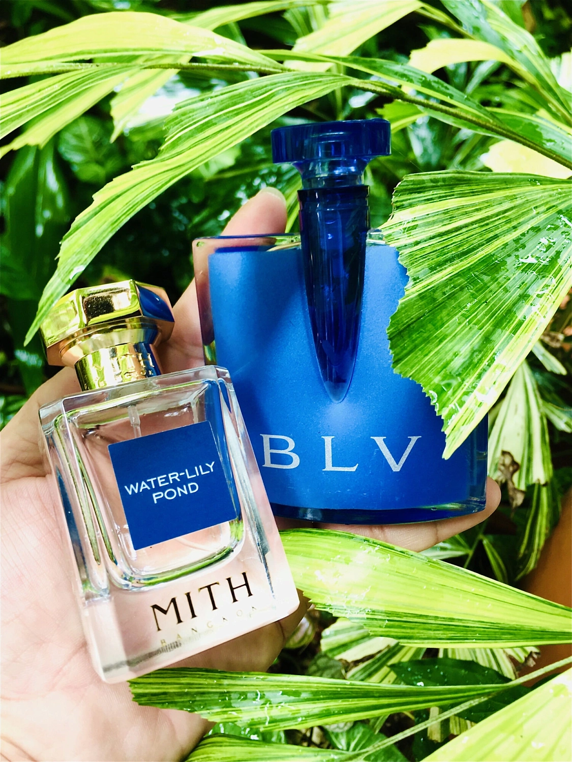 Bvlgari BLV