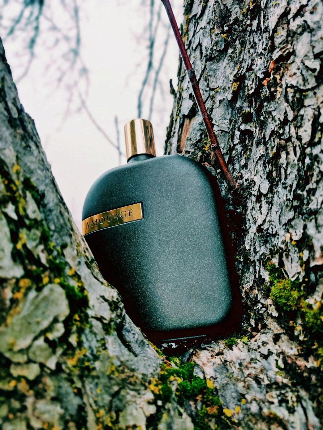 Amouage The Library Collection Opus VII
