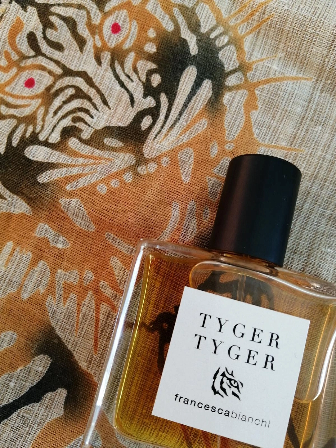 Francesca Bianchi Tyger Tyger