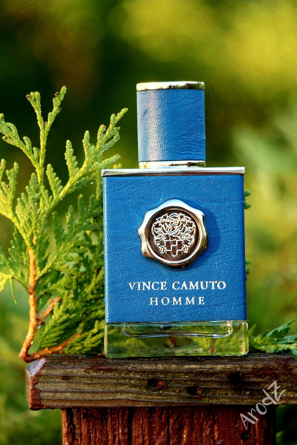 Vince Camuto Homme