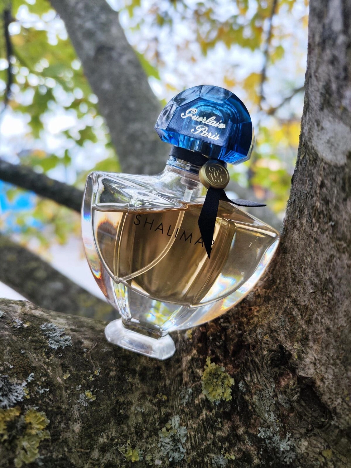 Guerlain Shalimar Eau de Toilette
