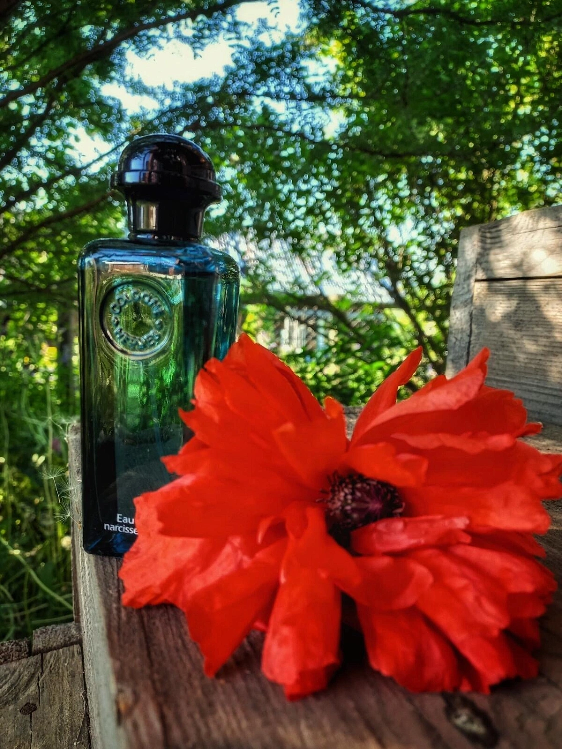 Hermès Eau de Narcisse Bleu