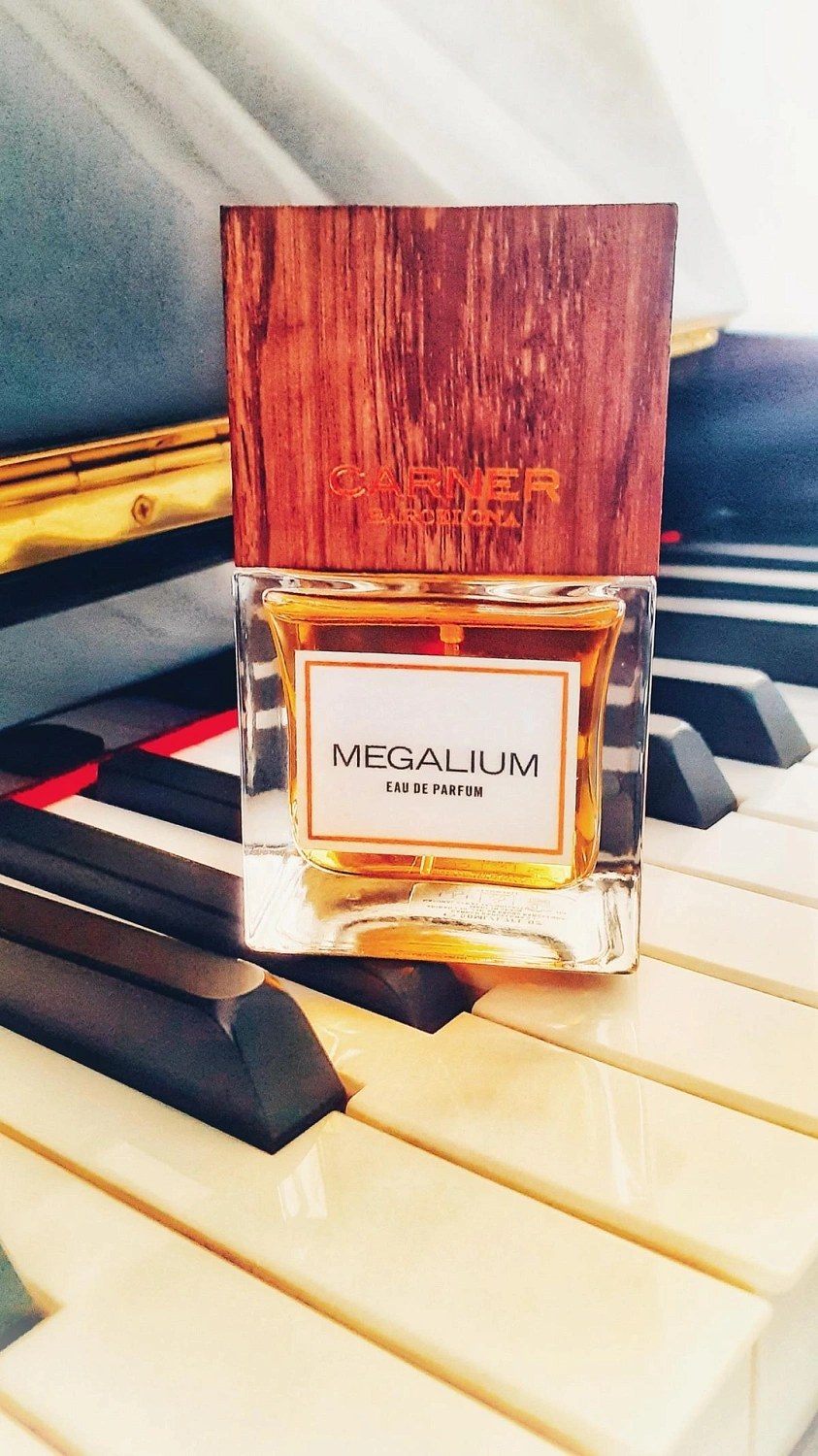 Carner Barcelona Megalium