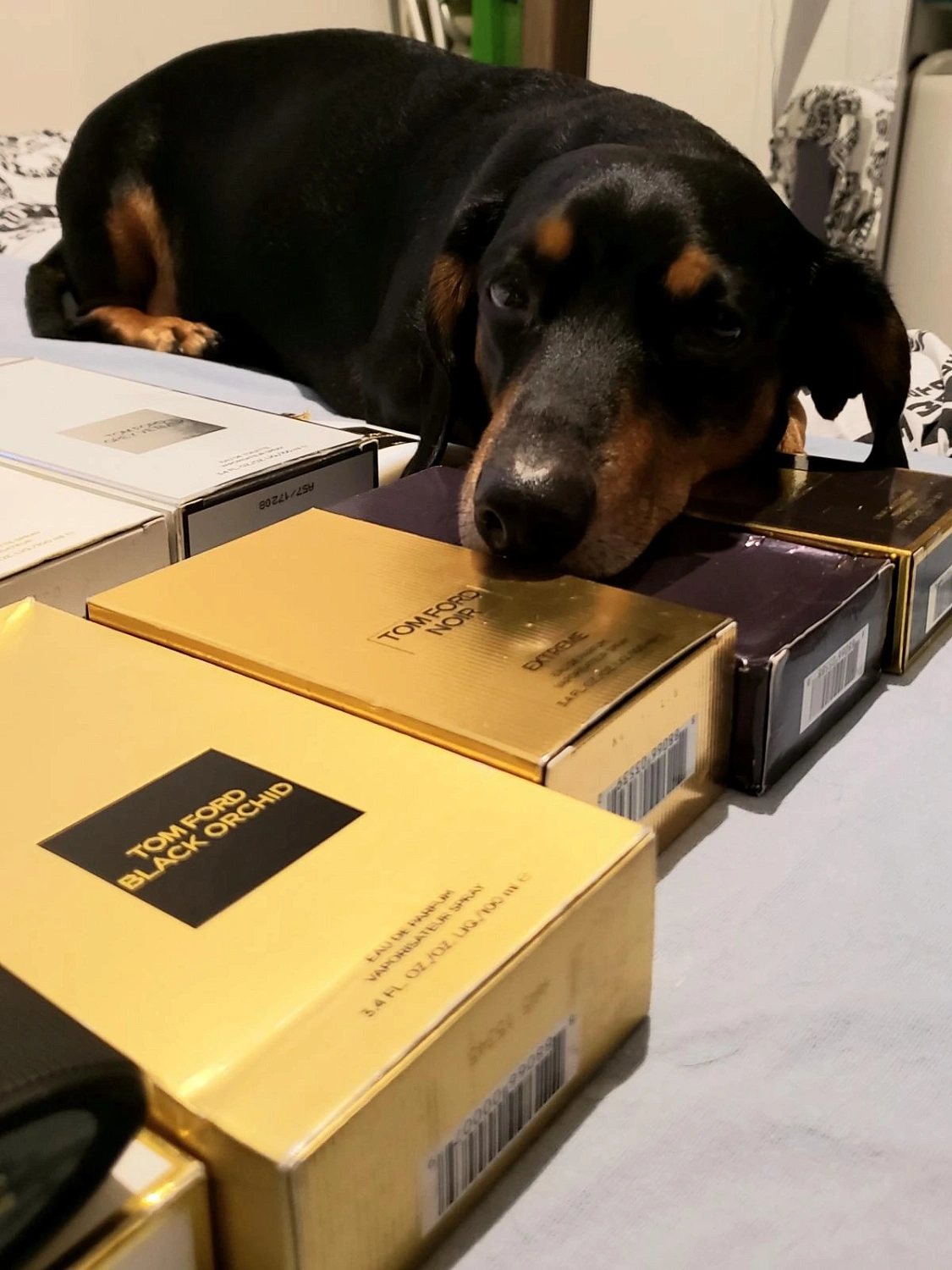 Tom Ford Velvet Orchid Lumiere