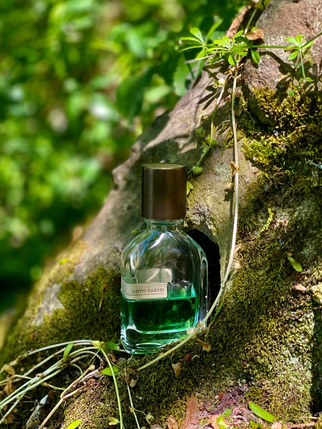 Orto Parisi Viride