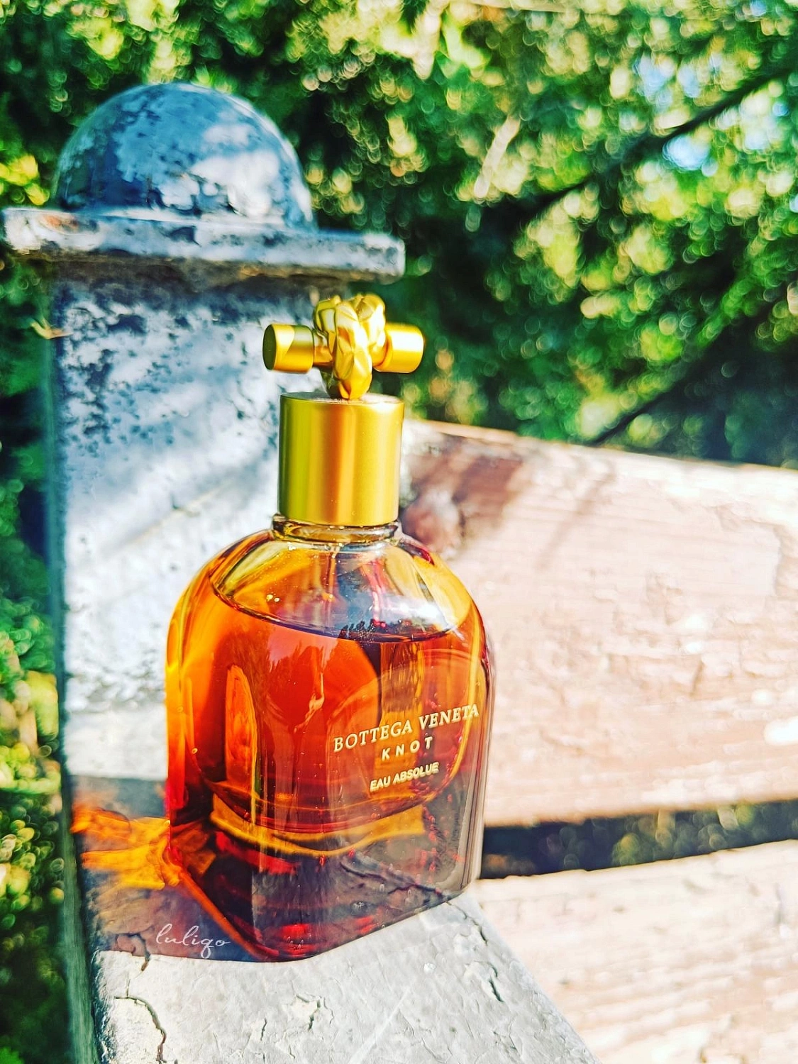 Bottega Veneta Knot Eau Absolue