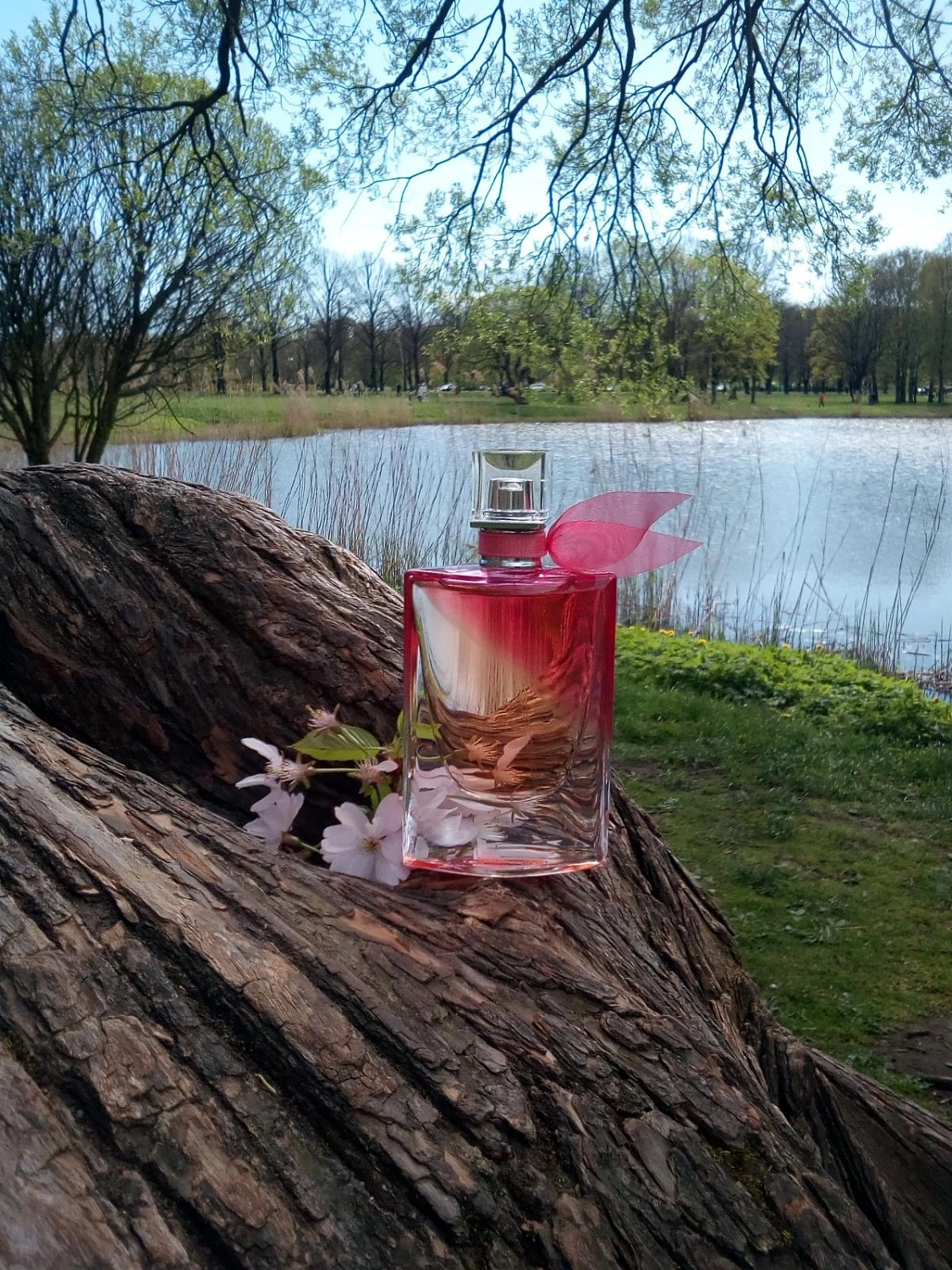 Lancôme La Vie est Belle en Rose