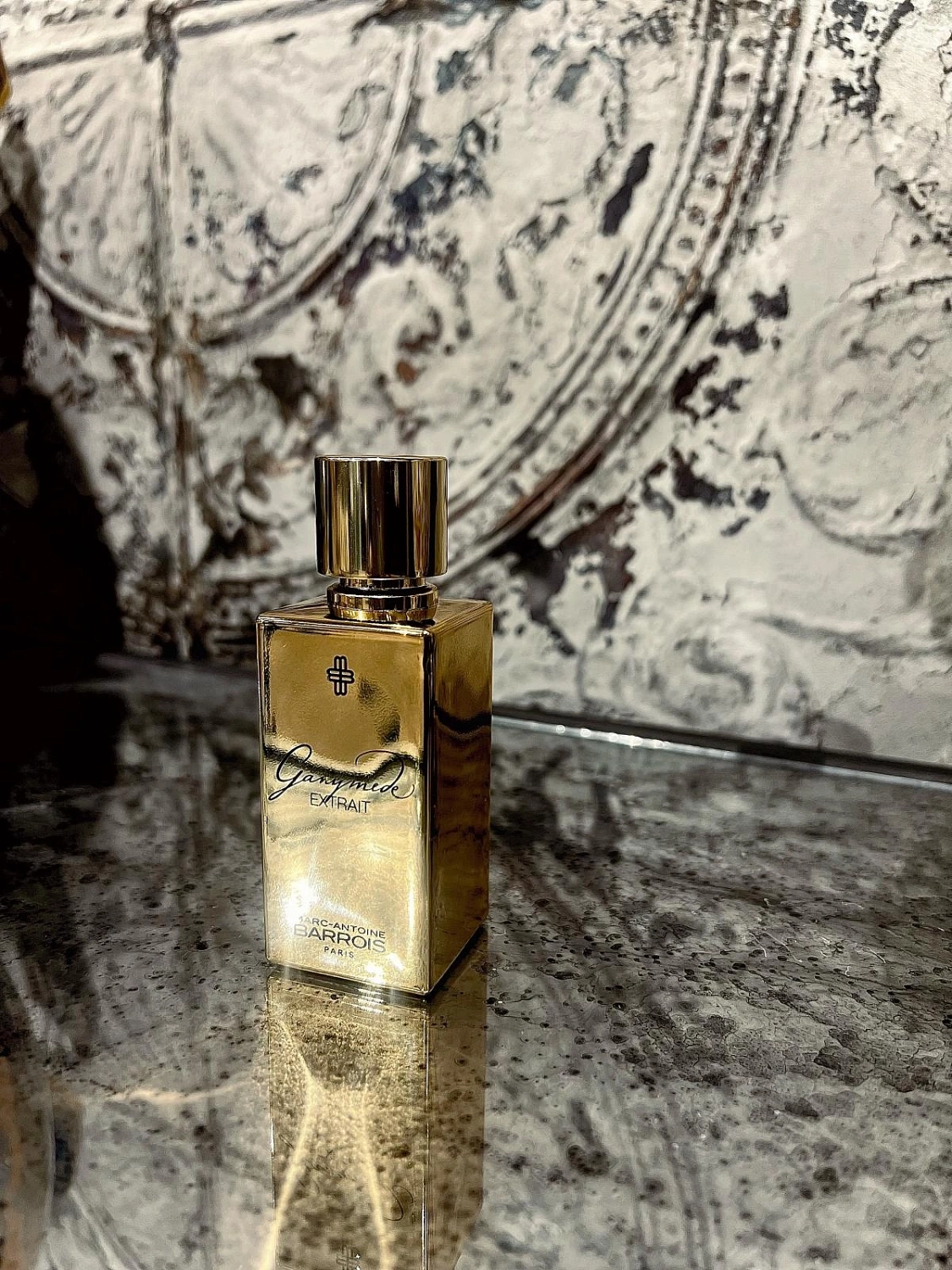 Marc-Antoine Barrois Ganymede Extrait
