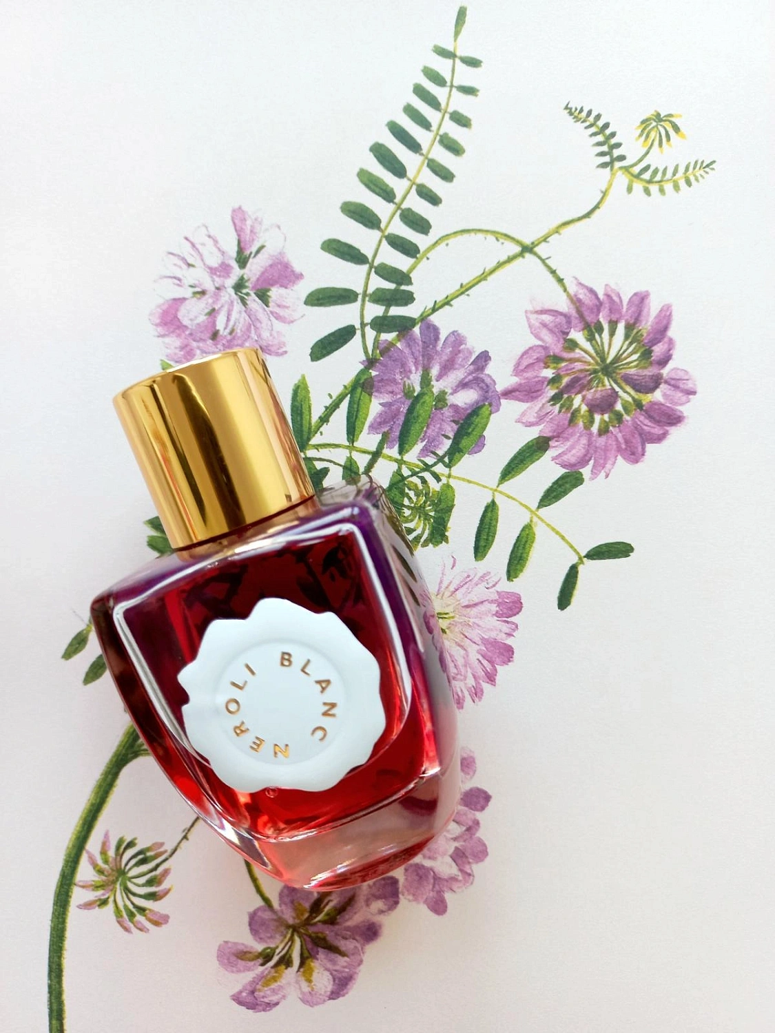 Au Pays de la Fleur d'Oranger Neroli Blanc Intense Eau de Parfum