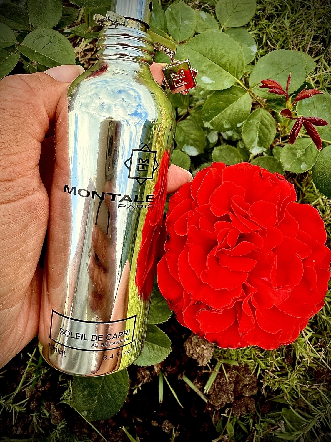 Montale Soleil de Capri