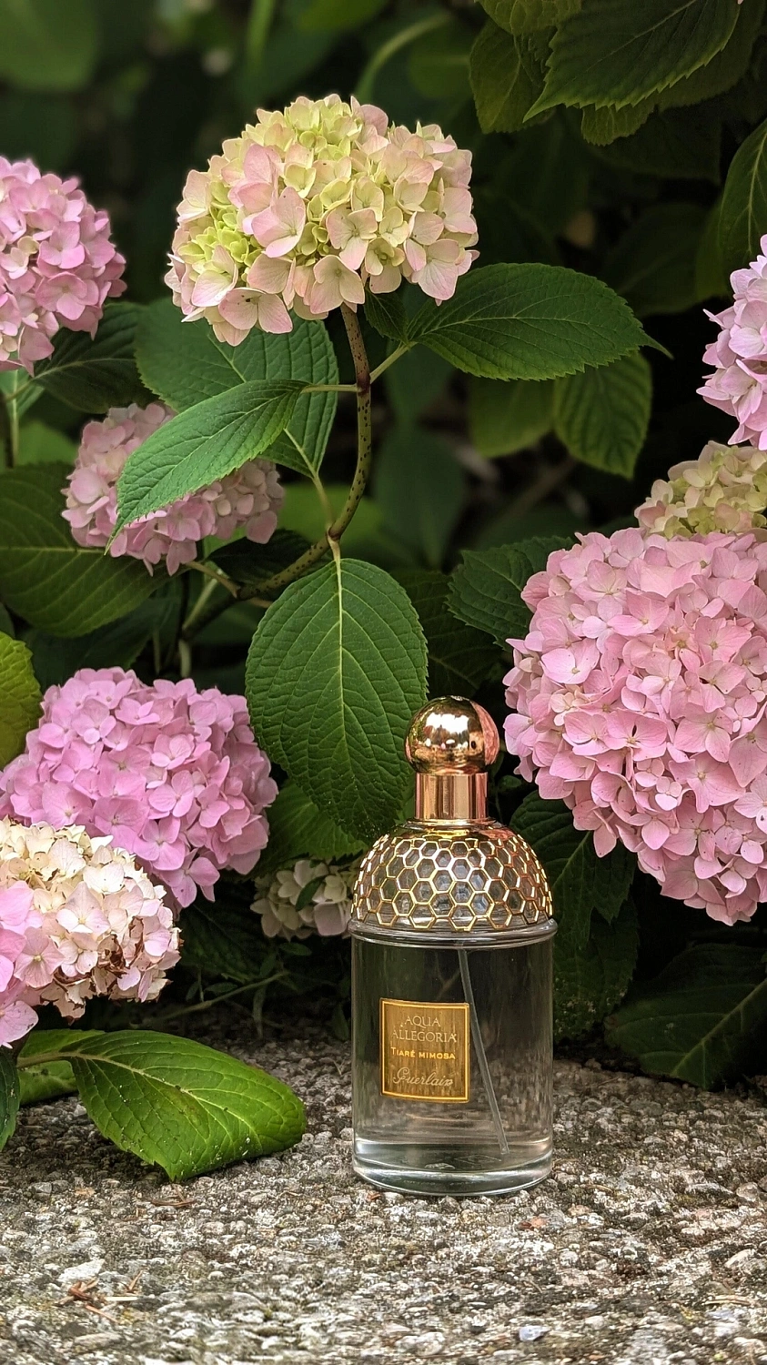 Guerlain Aqua Allegoria Tiare Mimosa