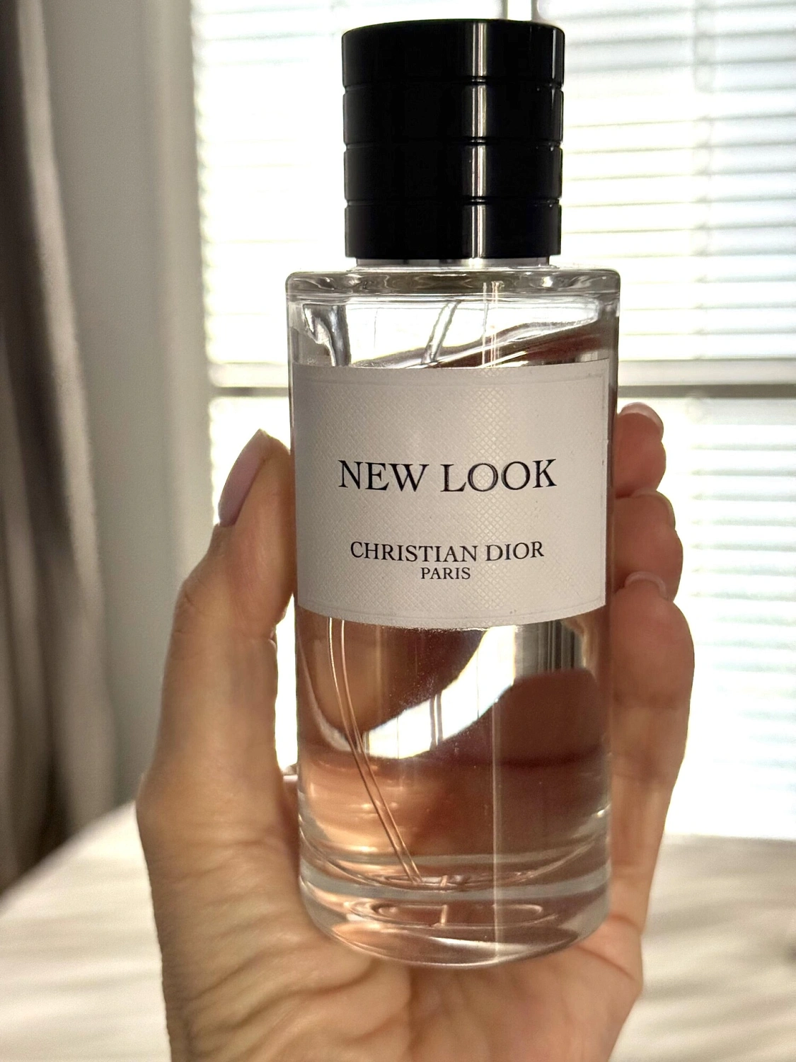 Christian Dior New Look 2024