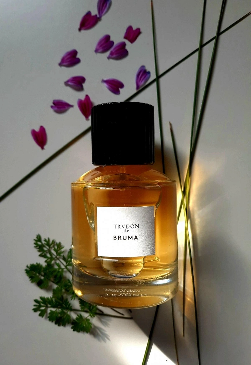 Maison Trudon Bruma