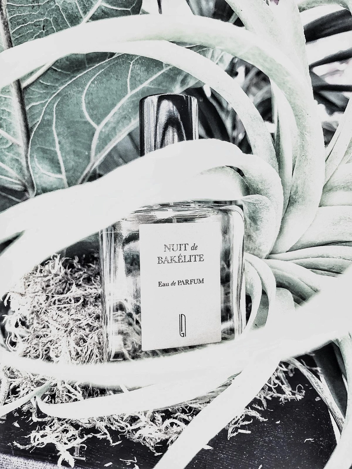 Naomi Goodsir Nuit de Bakelite