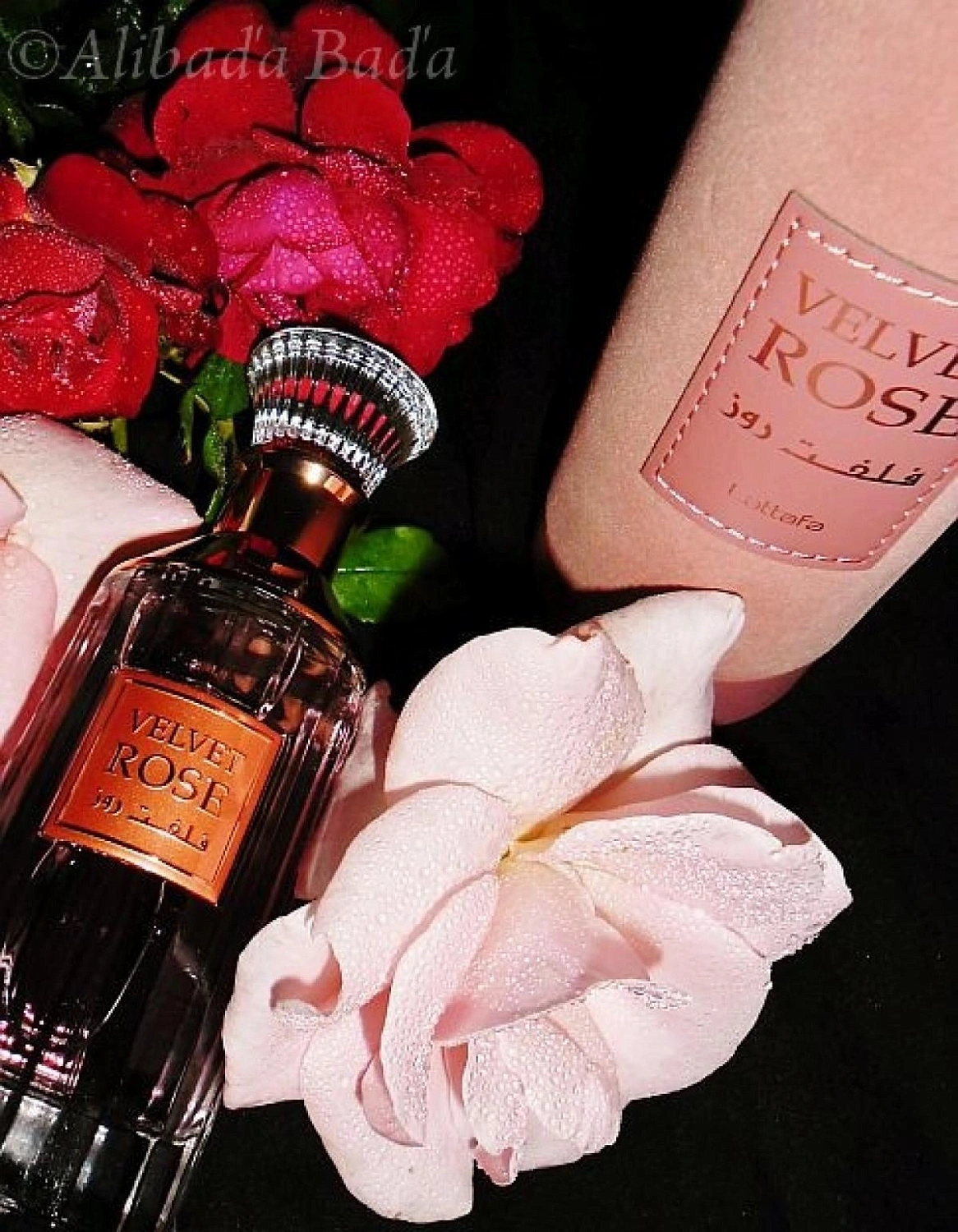 Lattafa Velvet Rose