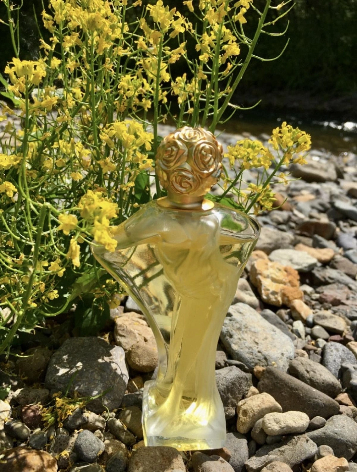 Salvador Dalí Daliflor