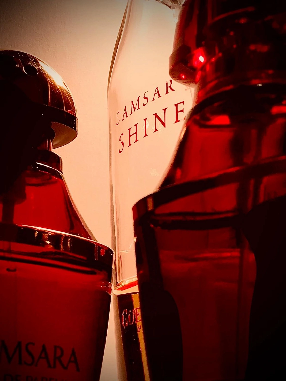 Guerlain Samsara Shine