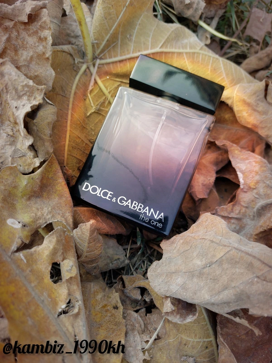 Dolce & Gabbana The One for Men Eau de Parfum
