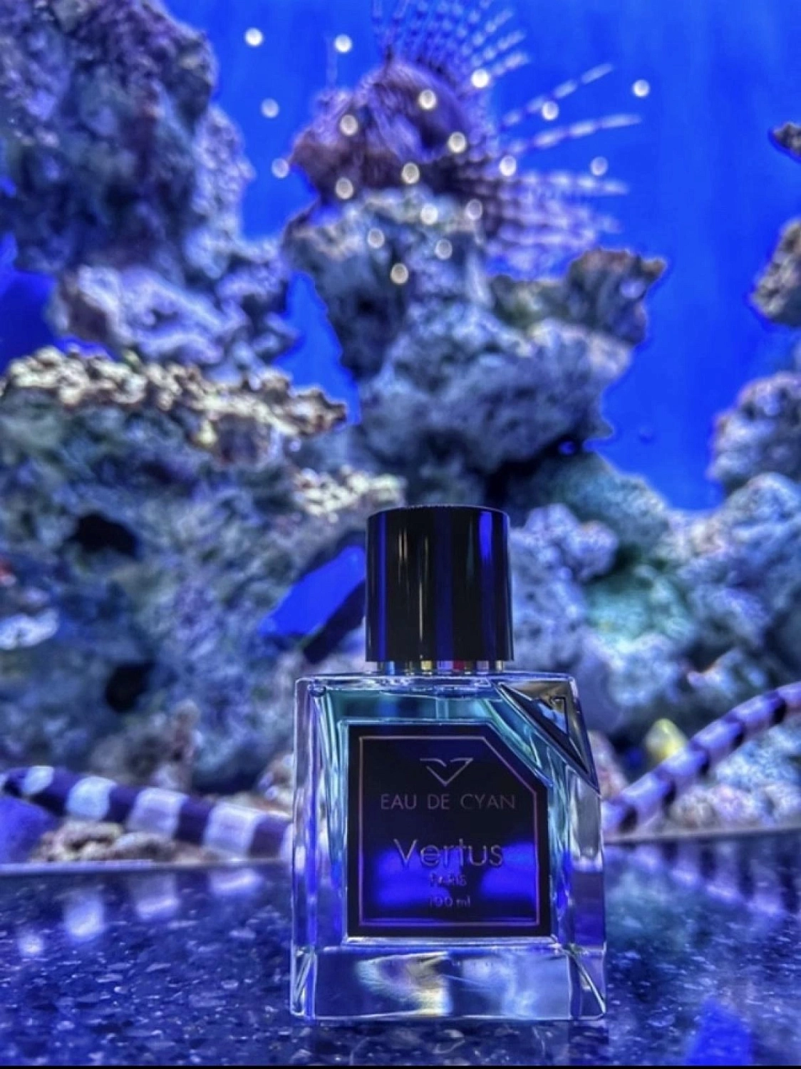Vertus Eau de Cyan