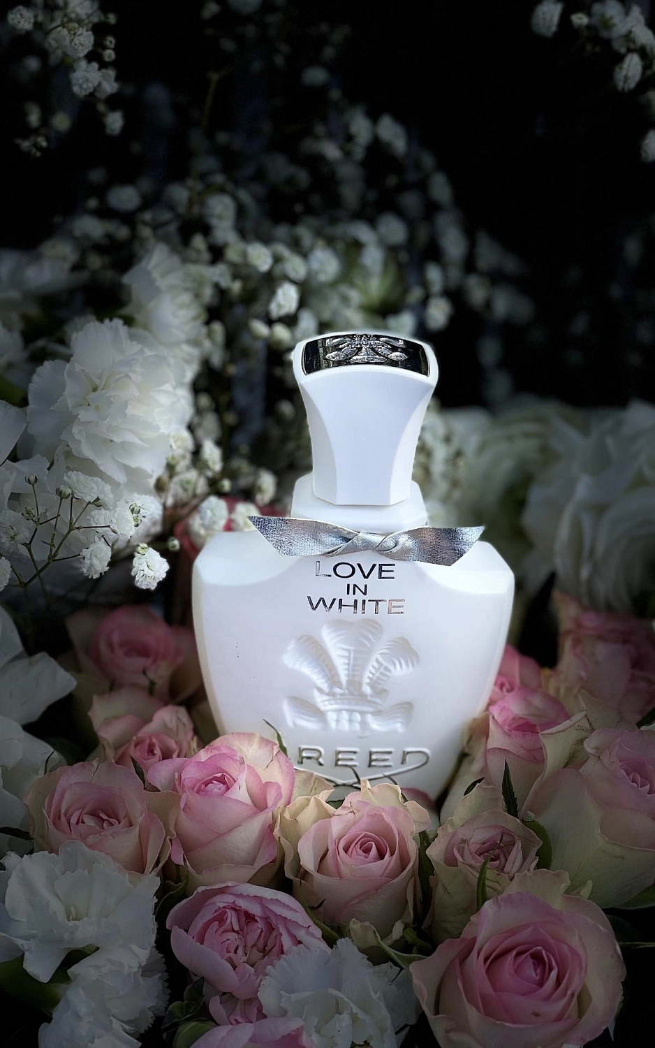 Creed Love in White