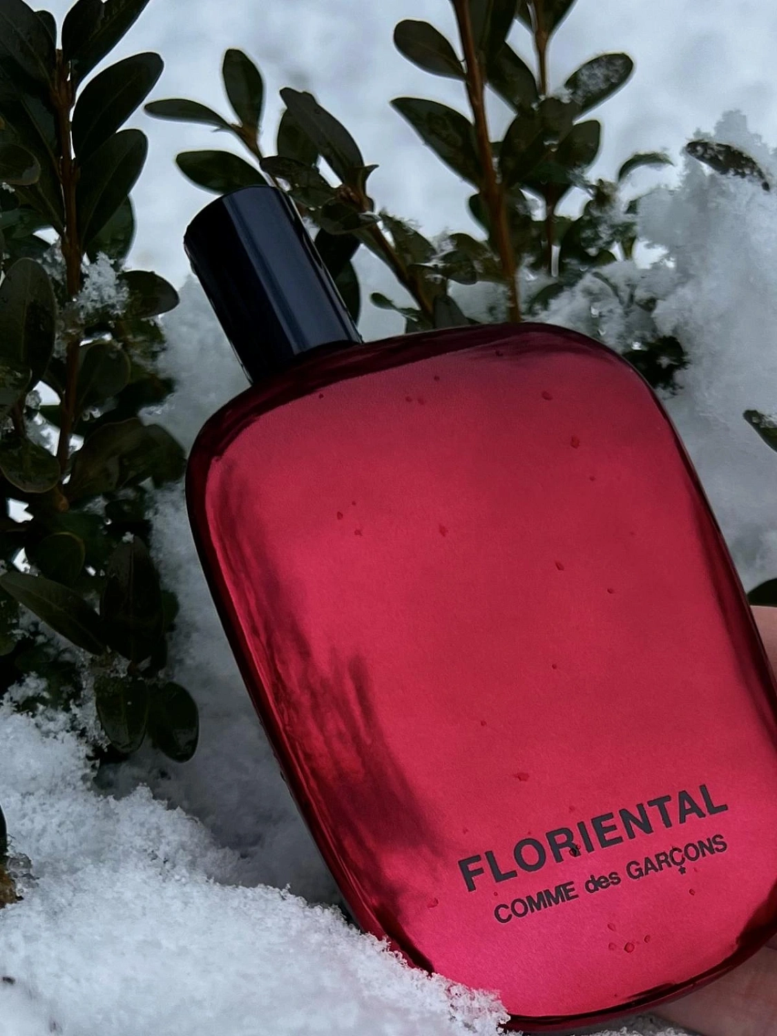 Comme des Garçons Floriental