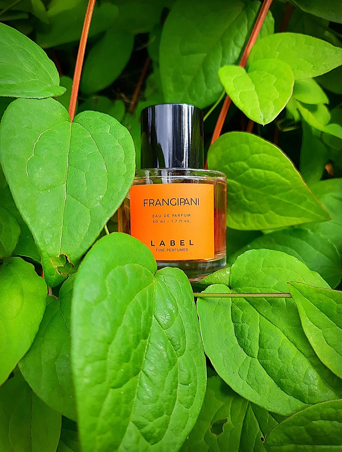 Label Frangipani