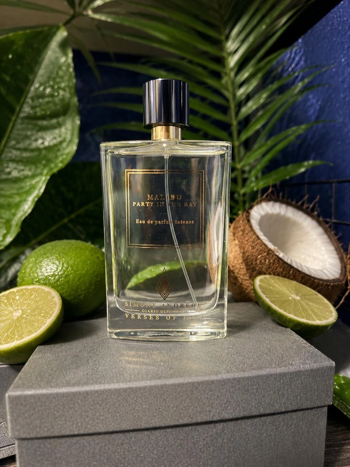 Simone Andreoli Malibu - Party in the Bay
