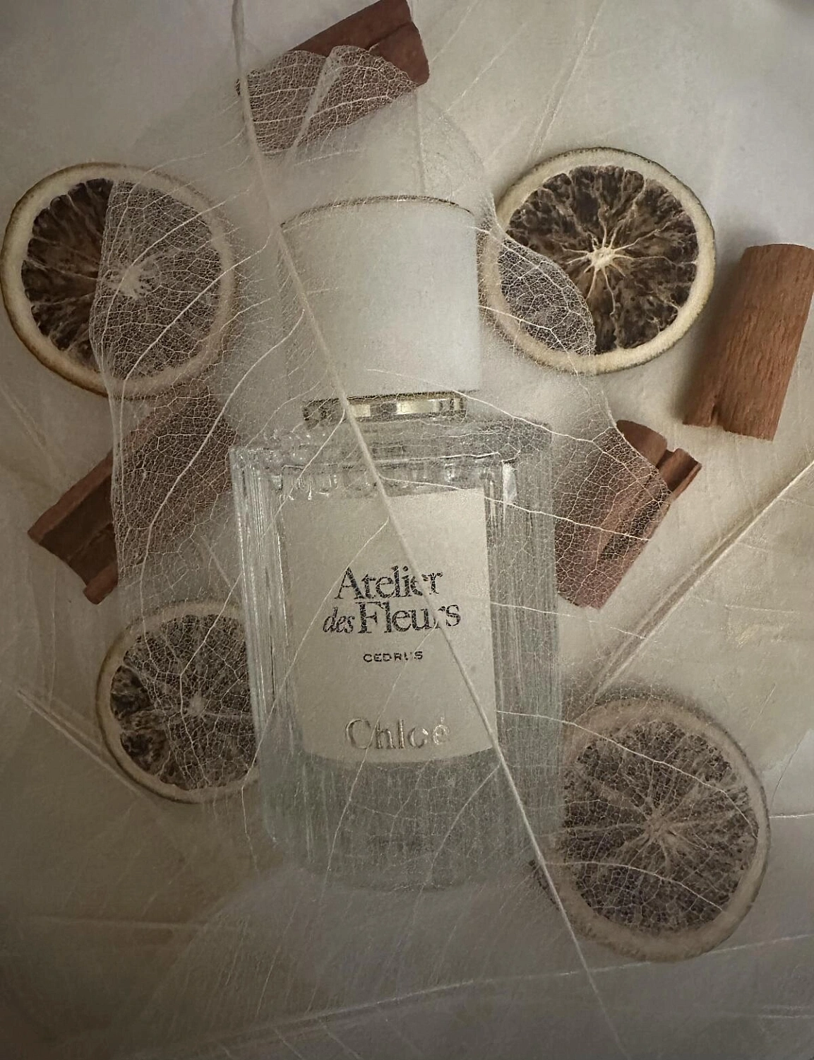 Chloé Atelier Des Fleurs Cedrus