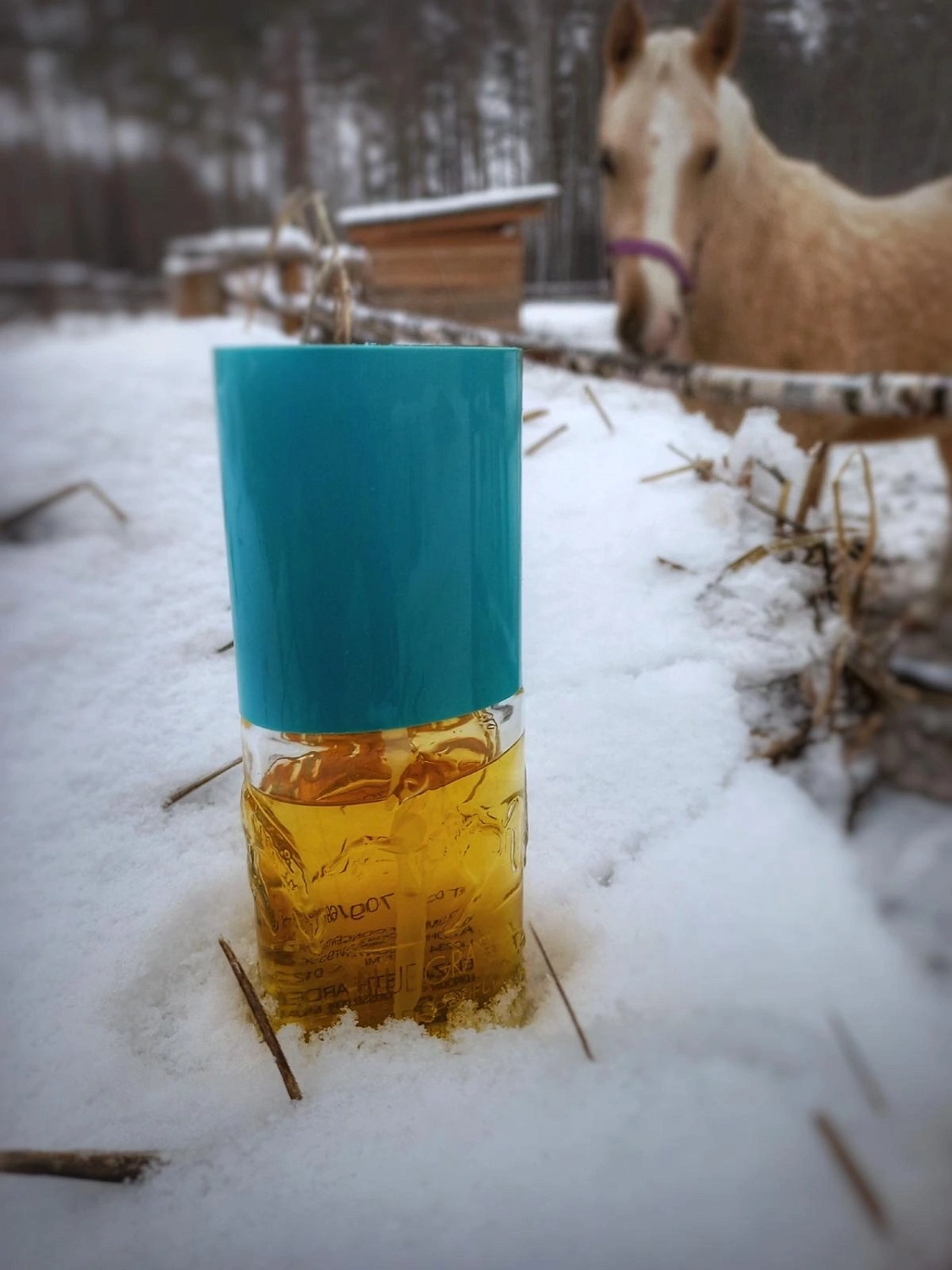 Elizabeth Arden Blue Grass