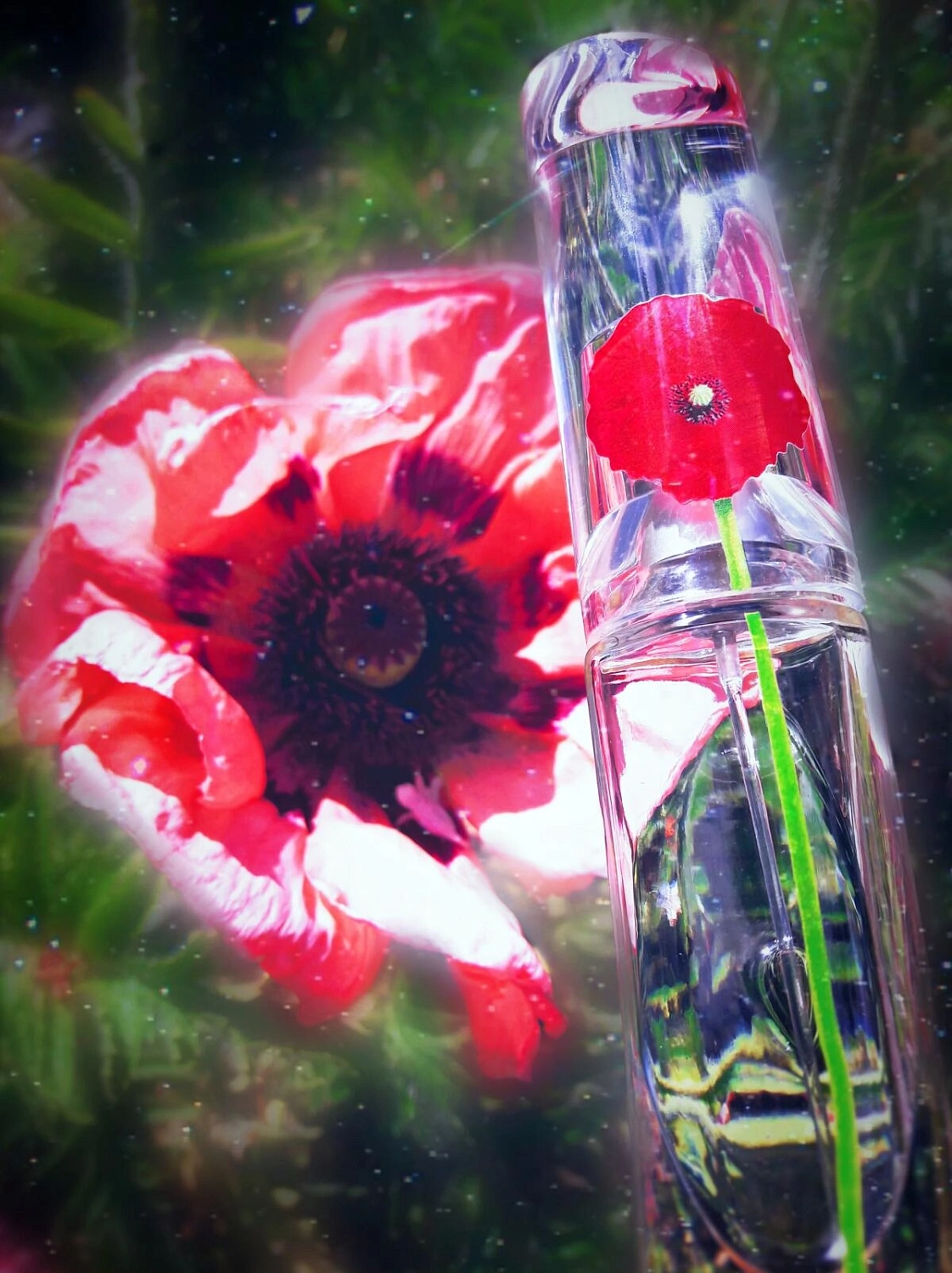 Flower by Kenzo