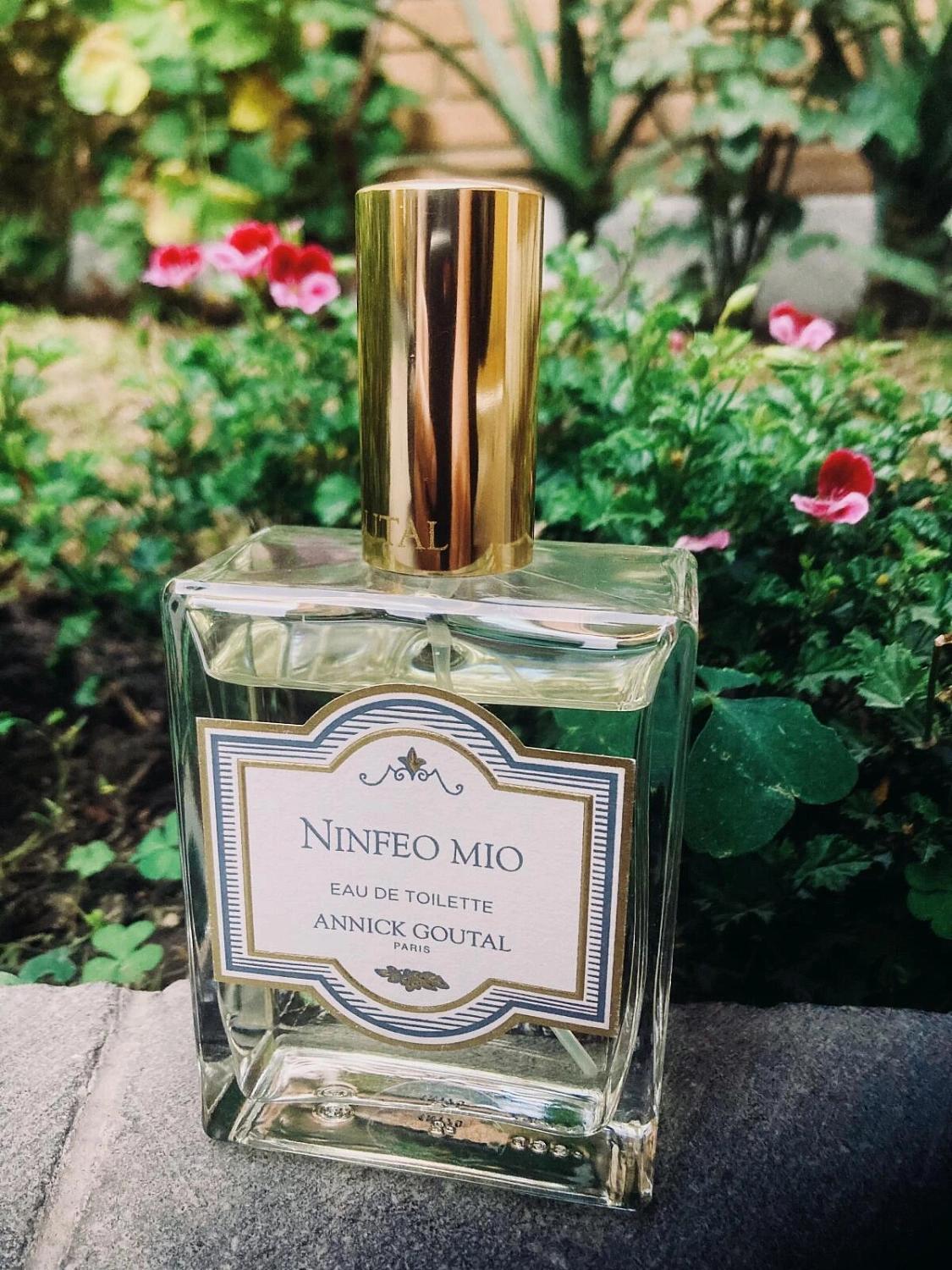 Annick Goutal Ninfeo Mio Men