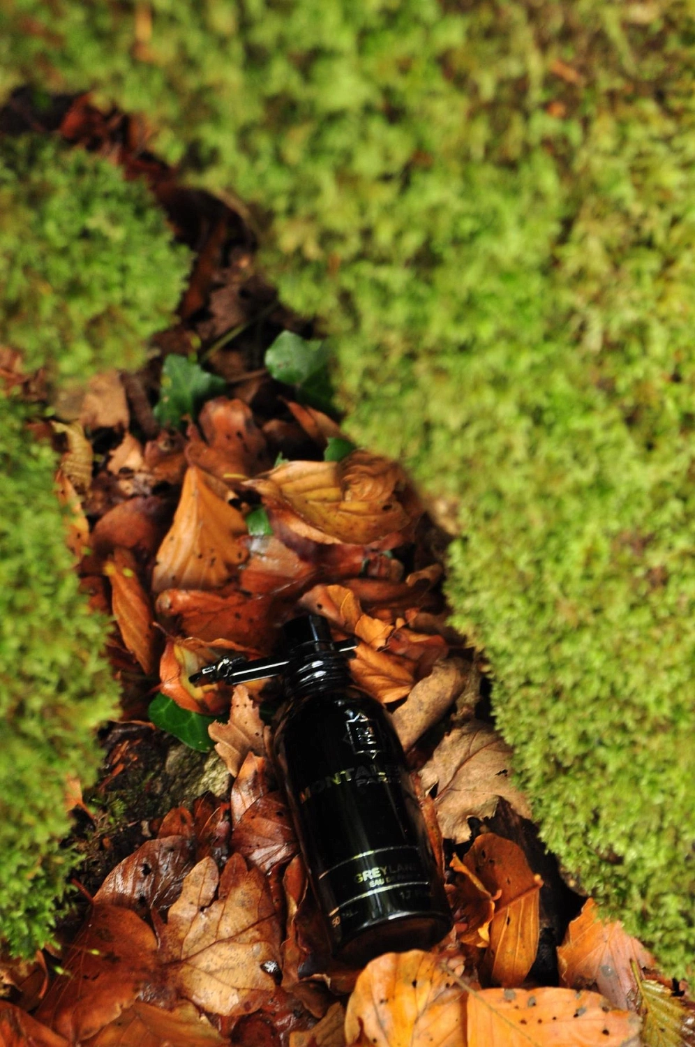 Montale Greyland