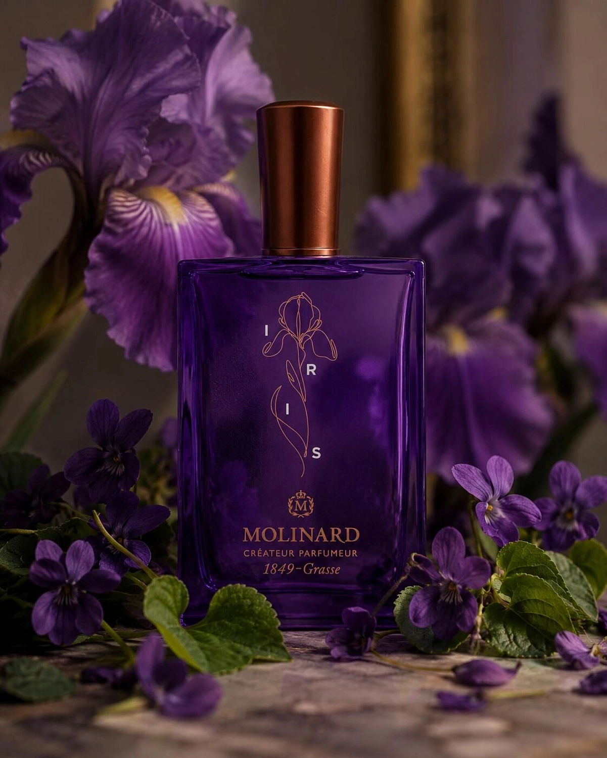 Molinard Iris