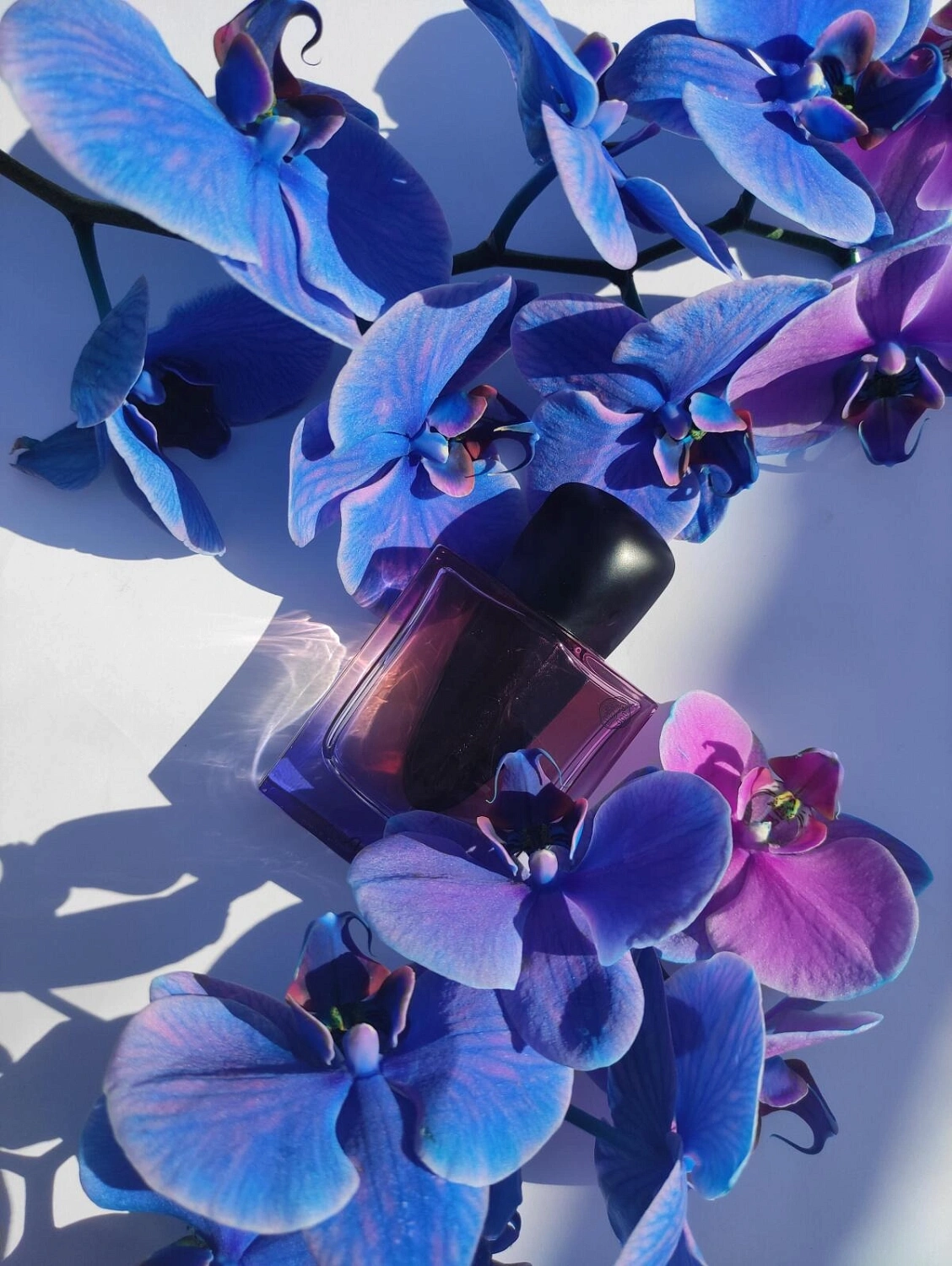 Shiseido Ginza Night