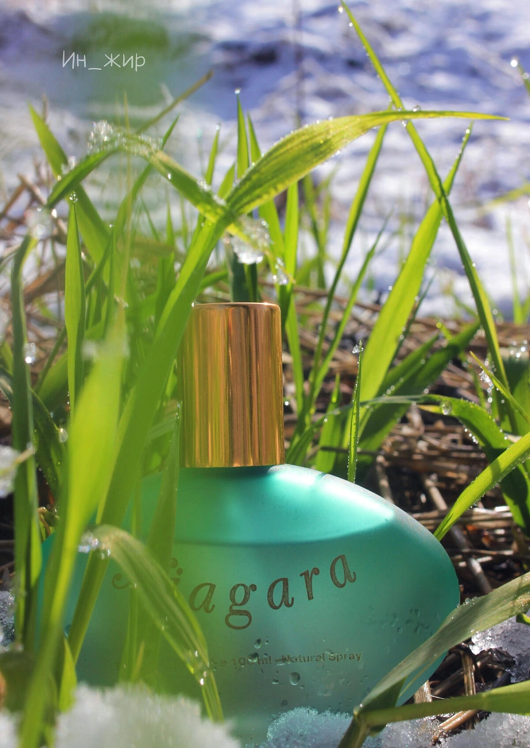 Parfums Genty Niagara