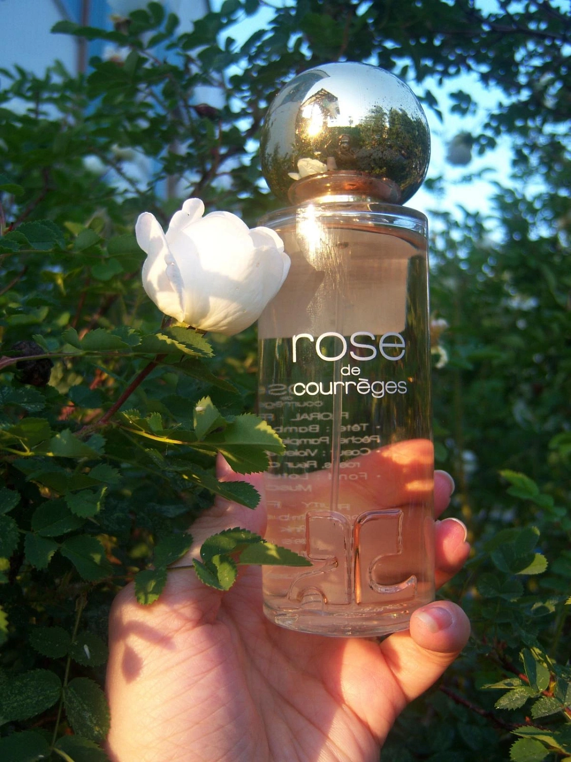 Rose de Courrèges
