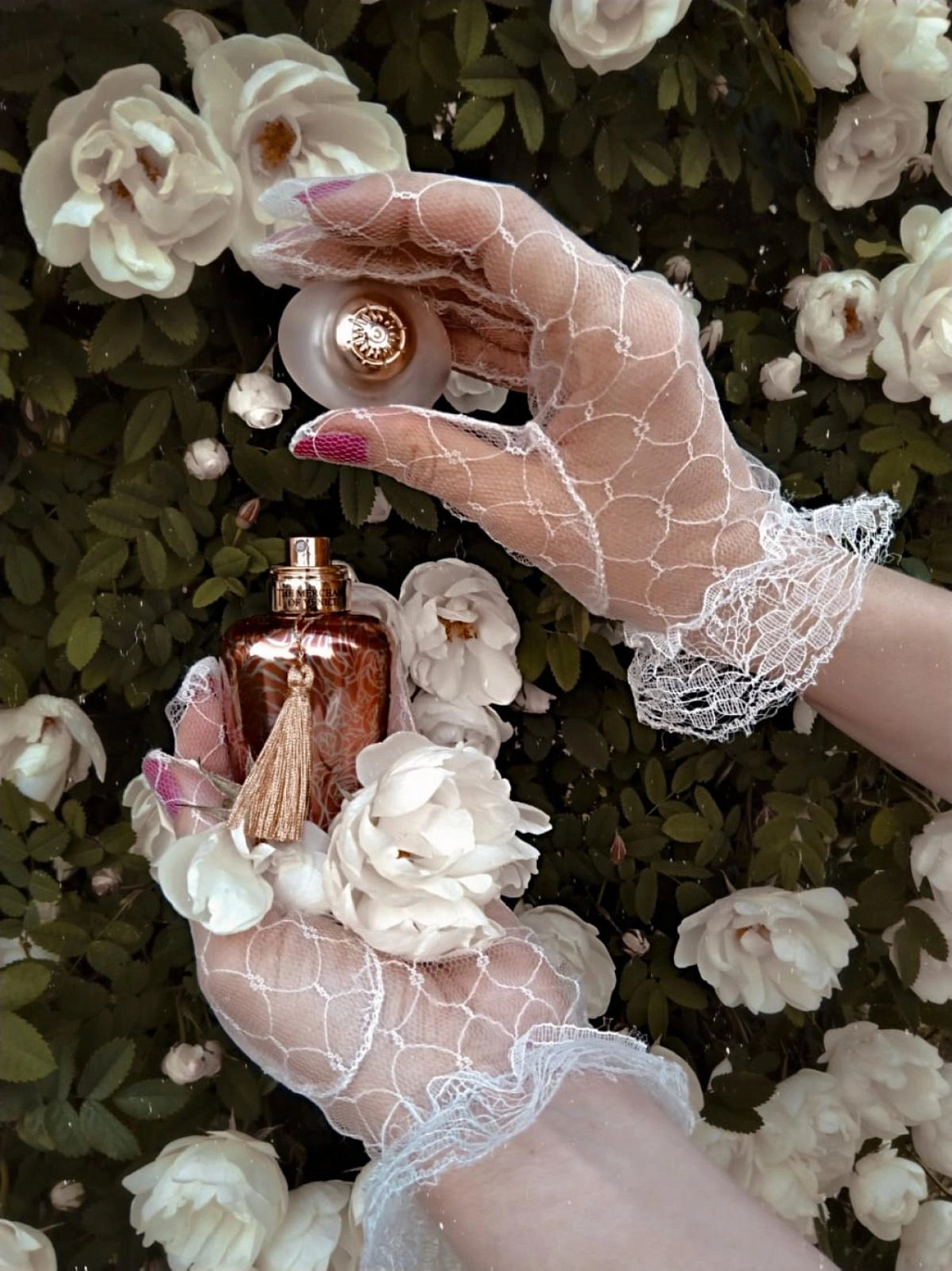 The Merchant of Venice Rosa Moceniga