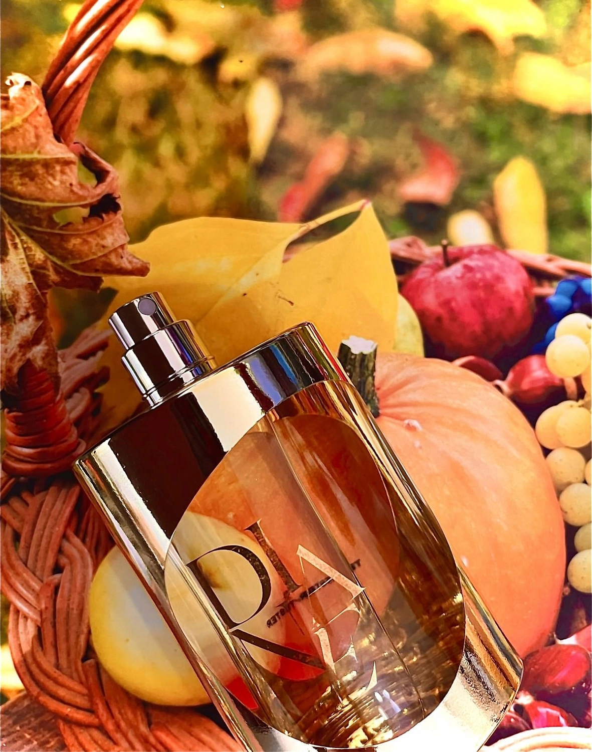 Diane von Furstenberg Diane